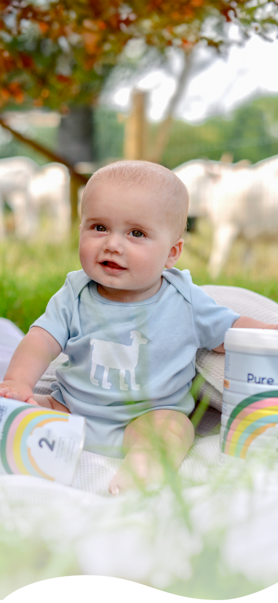 Baby zit op een dekentje - achtergrond: geiten
